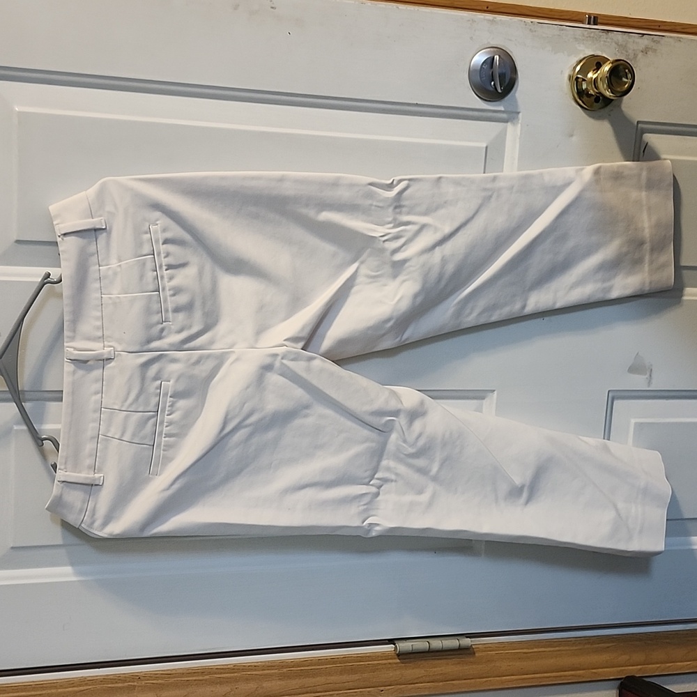 Capris - Picture 3 of 3